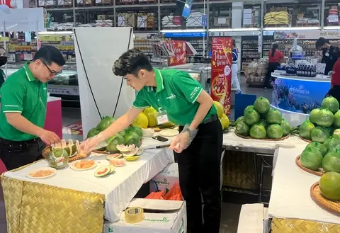Giải Mã Giấc Mơ Đã Mua Nhà Nhưng Quên