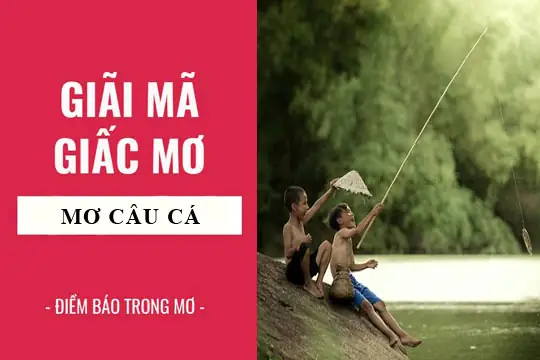 Giải Mã Giấc Mơ Đi Câu Cá: Ý Nghĩa, Điềm Báo Và Lời Khuyên Thực Tế Giải Mã Giấc Mơ Đi Câu Cá: Ý Nghĩa, Điềm Báo Và Lời Khuyên Thực Tế