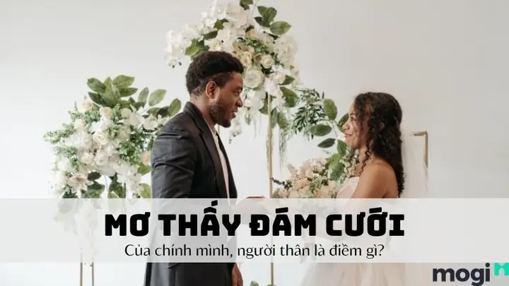 Giải Mã Giấc Mơ Đi Dự Đám Cưới: Ý Nghĩa, Dự Đoán Và Cách Giải Thích Chi Tiết