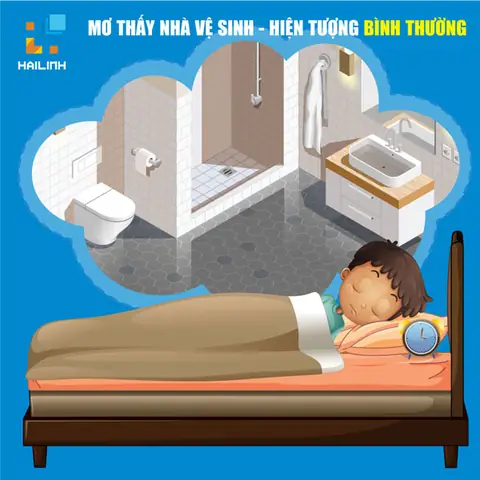 Giải Mã Giấc Mơ Đi Vệ Sinh Giải Mã Giấc Mơ Đi Vệ Sinh