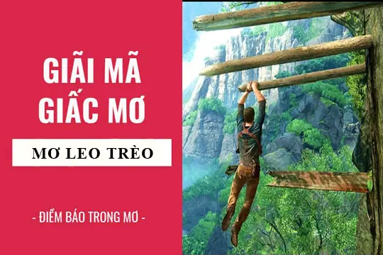 Giải Mã Giấc Mơ Leo Lên Ngọn Cây: Điềm Báo Gì, Tốt Hay Xấu? Giải Mã Giấc Mơ Leo Lên Ngọn Cây: Điềm Báo Gì, Tốt Hay Xấu?