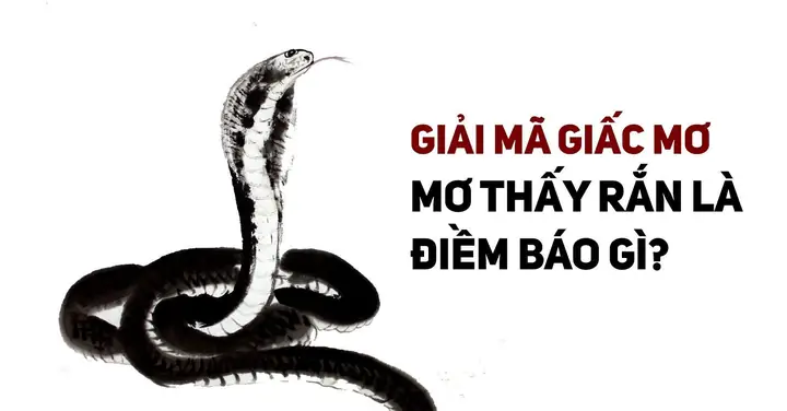 Nằm Mơ Thấy Rắn Cắn Đánh Con Gì? Giải Mã Điềm Báo Và Con Số Lô Đề May Mắn Nằm Mơ Thấy Rắn Cắn Đánh Con Gì? Giải Mã Điềm Báo Và Con Số Lô Đề May Mắn