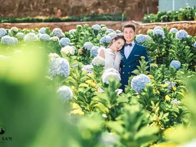 Giải Mã Giấc Mơ Mặc Váy Đỏ: Ý Nghĩa, Dự Báo Và Cách Giải Thích