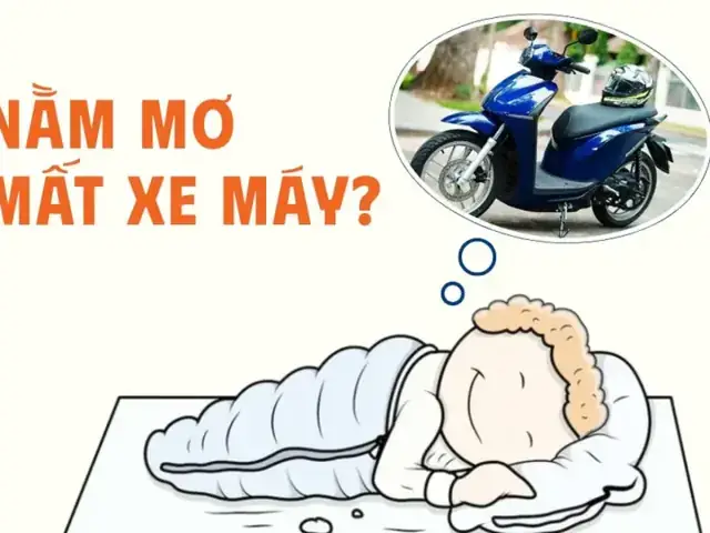 Giải Mã Giấc Mơ Thấy Nhà Mình Đất Rộng: Điềm Báo Tốt Hay Xấu Và Ý Nghĩa Tâm Linh Giải Mã Giấc Mơ Thấy Nhà Mình Đất Rộng: Điềm Báo Tốt Hay Xấu Và Ý Nghĩa Tâm Linh