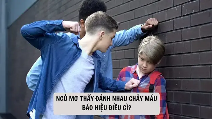 Giải Mã Giấc Mơ Nhìn Thấy Đánh Nhau Giải Mã Giấc Mơ Nhìn Thấy Đánh Nhau