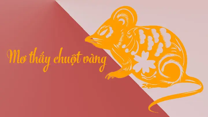 Giải Mã Giấc Mơ Bắt Chuột: Ý Nghĩa, Thông Điệp Và Cách Hiểu Cho Người Mơ Giải Mã Giấc Mơ Bắt Chuột: Ý Nghĩa, Thông Điệp Và Cách Hiểu Cho Người Mơ