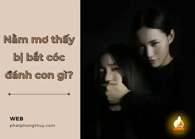 Giải Mã Giấc Mơ Thấy Bắt Cóc Trẻ Con Giải Mã Giấc Mơ Thấy Bắt Cóc Trẻ Con