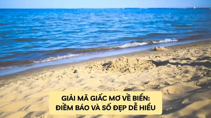 Giải Mã Giấc Mơ Thấy Biển Và Cá: Điềm Báo Gì, Con Số Nào May Mắn? Giải Mã Giấc Mơ Thấy Biển Và Cá: Điềm Báo Gì, Con Số Nào May Mắn?