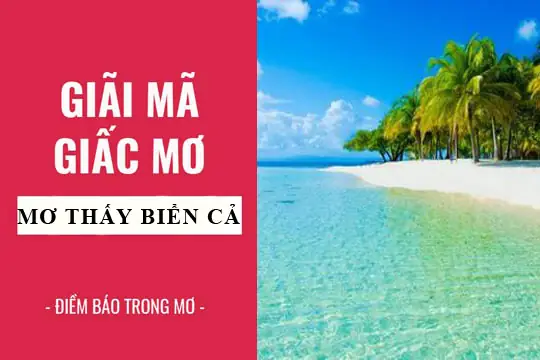 Giải Mã Giấc Mơ Thấy Biển Và Cá: Điềm Báo Gì, Con Số Nào May Mắn? Giải Mã Giấc Mơ Thấy Biển Và Cá: Điềm Báo Gì, Con Số Nào May Mắn?