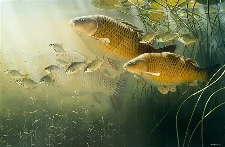 Giải Mã Giấc Mơ Thấy Cá Nhảy Lên Bờ