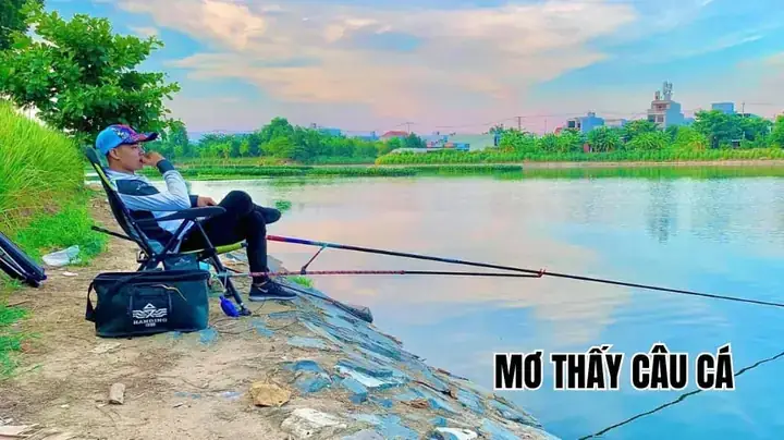 Giải Mã Giấc Mơ Thấy Câu Cá To Giải Mã Giấc Mơ Thấy Câu Cá To
