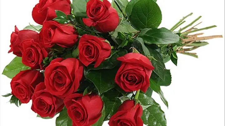 Giải Mã Giấc Mơ Thấy Chậu Hoa Hồng Nở Giải Mã Giấc Mơ Thấy Chậu Hoa Hồng Nở
