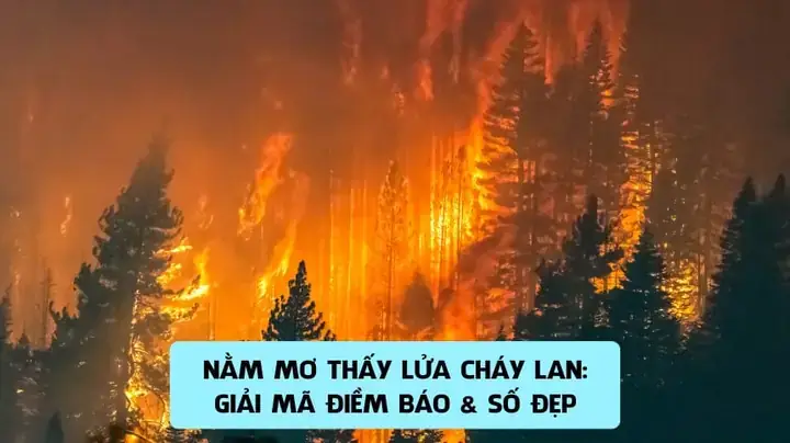Giải Mã Giấc Mơ Thấy Cháy Nổ: Ý Nghĩa, Nguyên Nhân Và Cách Giải Thích Chi Tiết Giải Mã Giấc Mơ Thấy Cháy Nổ: Ý Nghĩa, Nguyên Nhân Và Cách Giải Thích Chi Tiết
