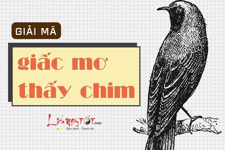 Giải Mã Giấc Mơ Thấy Chim Công Trắng Giải Mã Giấc Mơ Thấy Chim Công Trắng