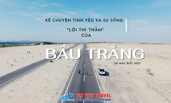 Giải Mã Giấc Mơ Thấy Chim Công Trắng Giải Mã Giấc Mơ Thấy Chim Công Trắng