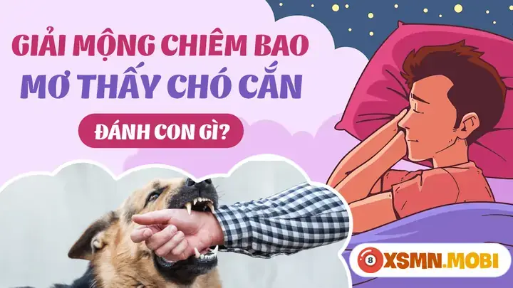 Giải Mã Giấc Mơ Thấy Chó Cắn: Ý Nghĩa, Điềm Báo Và Cách Đối Phó Giải Mã Giấc Mơ Thấy Chó Cắn: Ý Nghĩa, Điềm Báo Và Cách Đối Phó