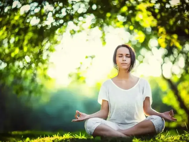 Giải Mã Giấc Mơ Thấy Con Công: Ý Nghĩa, Điềm Báo Và Cách Đọc Tín Hiệu