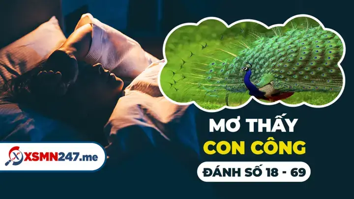 Giải Mã Giấc Mơ Thấy Con Công
