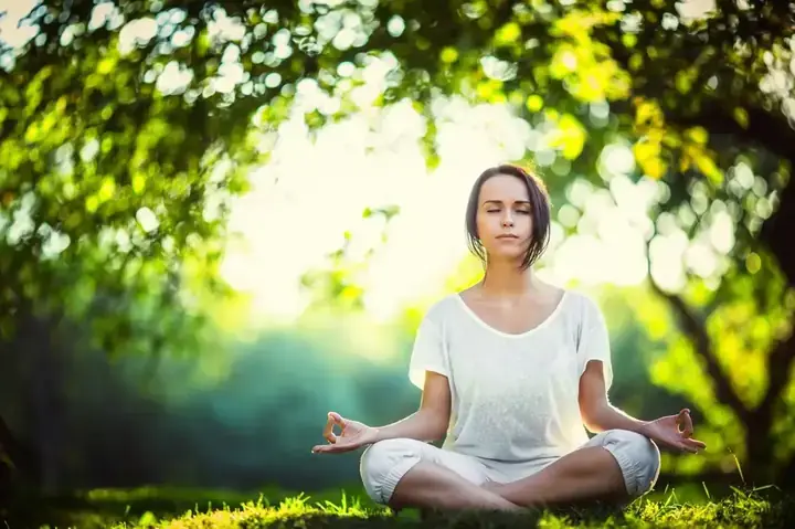 Giải Mã Giấc Mơ Thấy Con Công