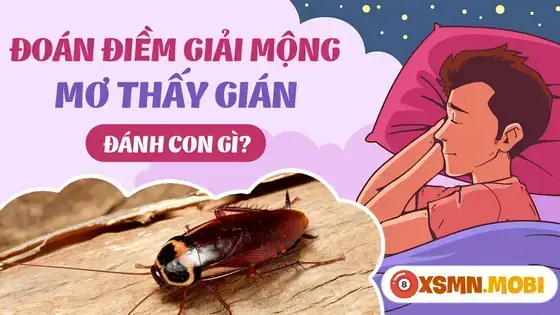 Giải Mã Giấc Mơ Thấy Con Gián Giải Mã Giấc Mơ Thấy Con Gián