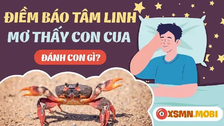 Giải Mã Giấc Mơ Thấy Cua Biển: Ý Nghĩa, Điềm Báo Và Con Số May Mắn Giải Mã Giấc Mơ Thấy Cua Biển: Ý Nghĩa, Điềm Báo Và Con Số May Mắn