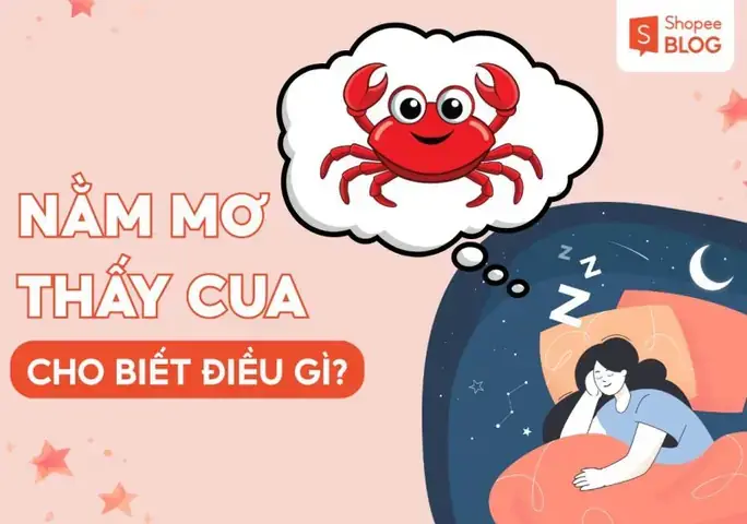 Giải Mã Giấc Mơ Thấy Cua Biển: Ý Nghĩa, Điềm Báo Và Con Số May Mắn Giải Mã Giấc Mơ Thấy Cua Biển: Ý Nghĩa, Điềm Báo Và Con Số May Mắn