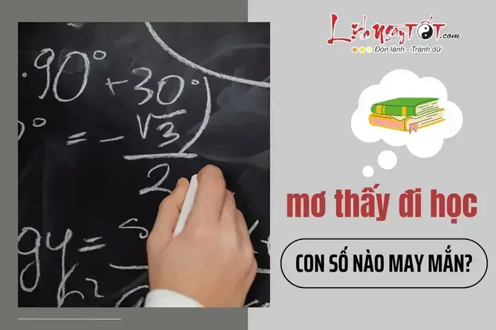 Giải Mã Giấc Mơ Thấy Đi Học Về Giải Mã Giấc Mơ Thấy Đi Học Về