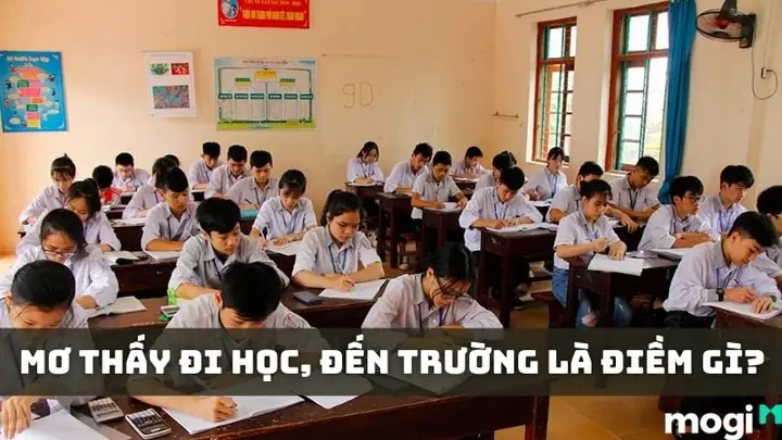 Giải Mã Giấc Mơ Thấy Đi Học Về Giải Mã Giấc Mơ Thấy Đi Học Về