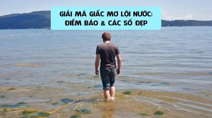 Giải Mã Giấc Mơ Thấy Đi Trong Dòng Sônv Giải Mã Giấc Mơ Thấy Đi Trong Dòng Sônv