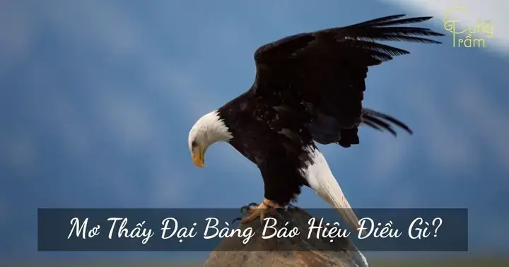 Giải Mã Giấc Mơ Thấy Dương Vật: Ý Nghĩa, Nguyên Nhân Và Cách Hiểu Chi Tiết Giải Mã Giấc Mơ Thấy Dương Vật: Ý Nghĩa, Nguyên Nhân Và Cách Hiểu Chi Tiết