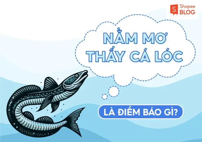 Giải Mã Giấc Mơ Thay Hai Trai Cay Giải Mã Giấc Mơ Thay Hai Trai Cay