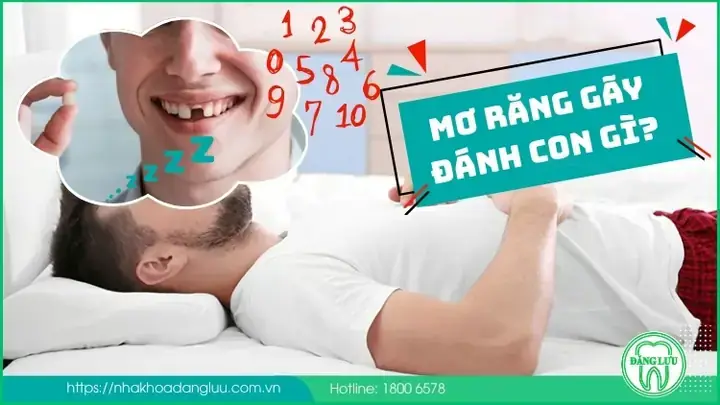 Giải Mã Giấc Mơ Thấy Số: Ý Nghĩa Các Con Số Và Cách Đánh Giá Giải Mã Giấc Mơ Thấy Số: Ý Nghĩa Các Con Số Và Cách Đánh Giá