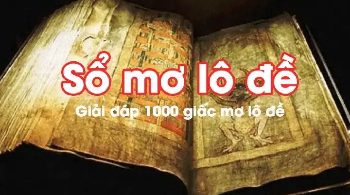 Giải Mã Giấc Mơ Thấy Số: Ý Nghĩa Các Con Số Và Cách Đánh Giá Giải Mã Giấc Mơ Thấy Số: Ý Nghĩa Các Con Số Và Cách Đánh Giá