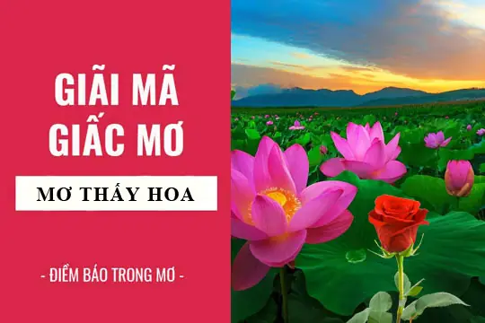 Giải Mã Giấc Mơ Thấy Hoa Hồng Đỏ: Điềm Báo, Ý Nghĩa & Con Số May Mắn Giải Mã Giấc Mơ Thấy Hoa Hồng Đỏ: Điềm Báo, Ý Nghĩa & Con Số May Mắn