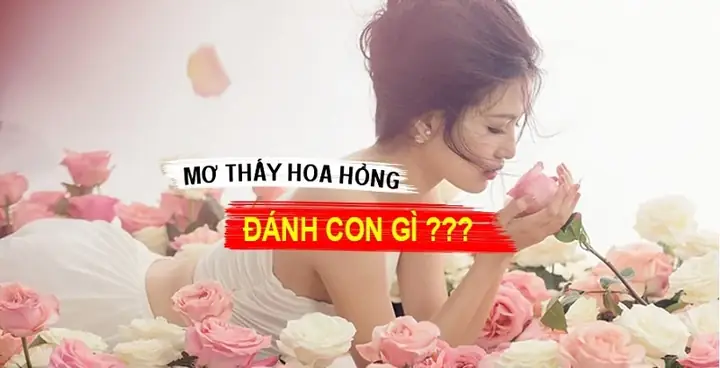 Giải Mã Giấc Mơ Thấy Hoa Hồng Đỏ: Điềm Báo, Ý Nghĩa & Con Số May Mắn Giải Mã Giấc Mơ Thấy Hoa Hồng Đỏ: Điềm Báo, Ý Nghĩa & Con Số May Mắn