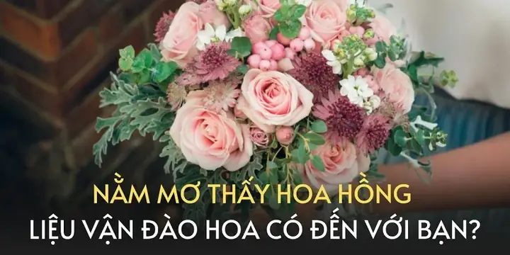 Giải Mã Giấc Mơ Thấy Hoa Hồng Đỏ: Điềm Báo, Ý Nghĩa & Con Số May Mắn Giải Mã Giấc Mơ Thấy Hoa Hồng Đỏ: Điềm Báo, Ý Nghĩa & Con Số May Mắn