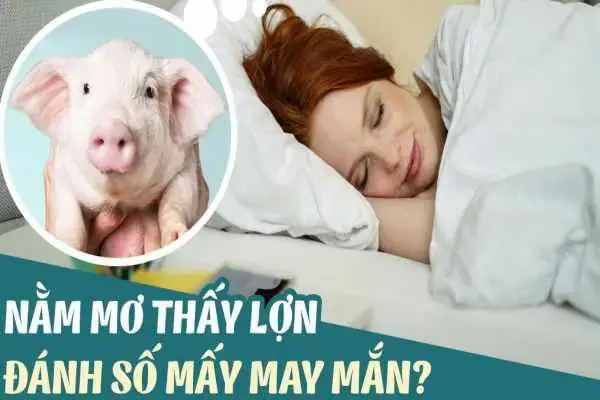 Giải Mã Giấc Mơ Thấy Lợn Chết: Ý Nghĩa, Dấu Hiệu Và Con Số May Mắn Giải Mã Giấc Mơ Thấy Lợn Chết: Ý Nghĩa, Dấu Hiệu Và Con Số May Mắn