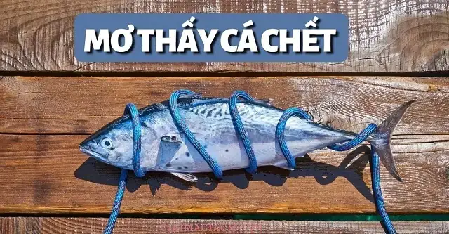 Giải Mã Giấc Mơ Thấy Lợn Chết: Ý Nghĩa, Dấu Hiệu Và Con Số May Mắn Giải Mã Giấc Mơ Thấy Lợn Chết: Ý Nghĩa, Dấu Hiệu Và Con Số May Mắn