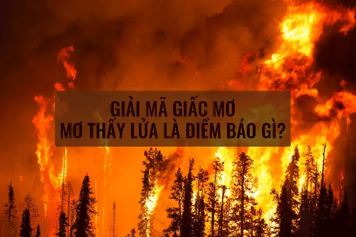 Giải Mã Giấc Mơ Thấy Lửa Và Nước Giải Mã Giấc Mơ Thấy Lửa Và Nước
