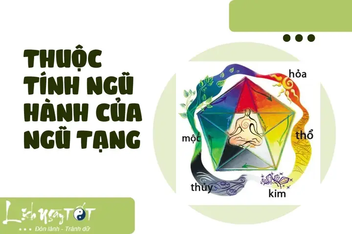 Giải Mã Giấc Mơ Thấy Lục Phủ Ngũ Tạng