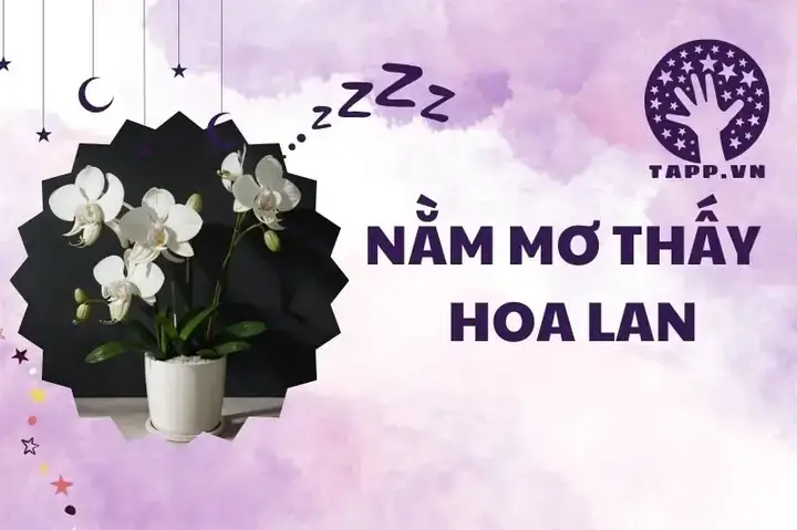 Giải Mã Giấc Mơ Thấy Ma Búp Bê: Điềm Báo Gì, Tốt Hay Xấu? Giải Mã Giấc Mơ Thấy Ma Búp Bê: Điềm Báo Gì, Tốt Hay Xấu?