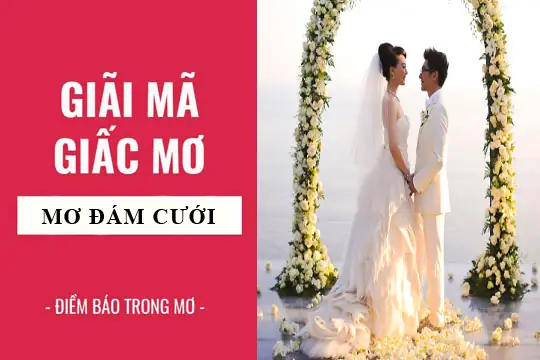 Giải Mã Giấc Mơ Thấy Mình Đám Cưới: Điềm Báo Gì? Ý Nghĩa Theo Từng Hoàn Cảnh