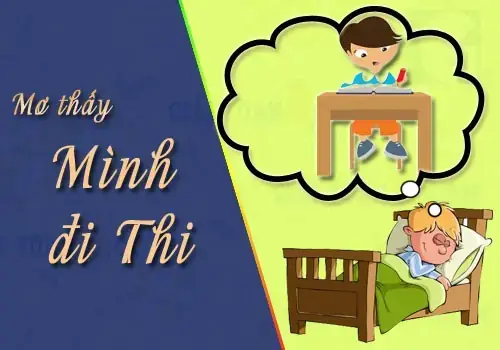 Giải Mã Giấc Mơ Thấy Mình Đi Thi: Ý Nghĩa Tâm Lý, Điềm Báo Tốt Hay Xấu? Giải Mã Giấc Mơ Thấy Mình Đi Thi: Ý Nghĩa Tâm Lý, Điềm Báo Tốt Hay Xấu?