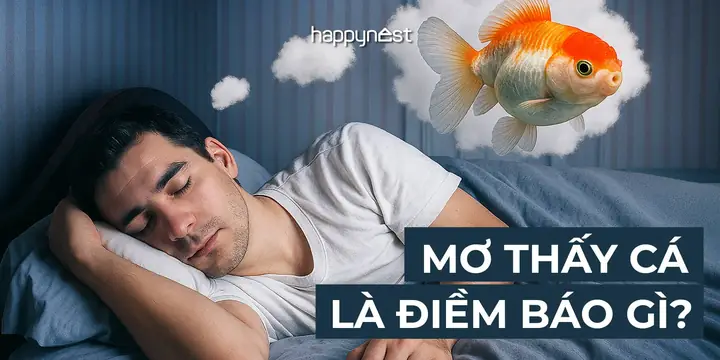 Giải Mã Giấc Mơ Thấy Xác Chết Nằm Dưới Đất Chôn – Điềm Báo Lành Hay Dữ?