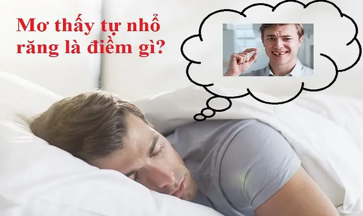 Giải Mã Giấc Mơ Thây Nằm Dưới Hố Xâu Giải Mã Giấc Mơ Thây Nằm Dưới Hố Xâu