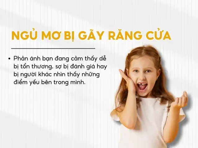 Giải Mã Giấc Mơ Thấy Đánh Nhau: Điềm Báo Tốt Hay Xấu? 30+ Trường Hợp & Con Số May Mắn Giải Mã Giấc Mơ Thấy Đánh Nhau: Điềm Báo Tốt Hay Xấu? 30+ Trường Hợp & Con Số May Mắn