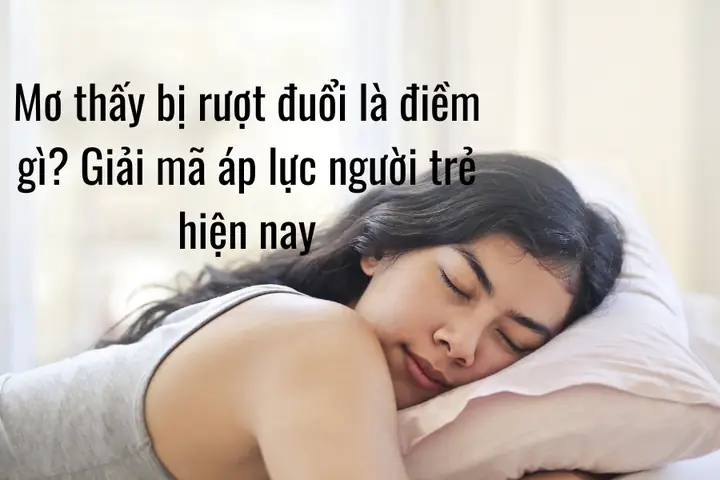 Giải Mã Giấc Mơ Thấy Người Rượt Đuổi Giải Mã Giấc Mơ Thấy Người Rượt Đuổi