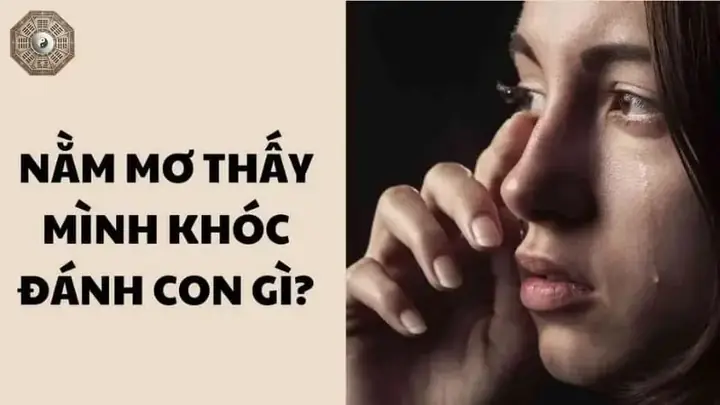 Giải Mã Giấc Mơ Thấy Người Thân Khóc: Điềm Báo Lành Hay Dữ? Chi Tiết Từng Trường Hợp