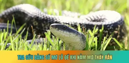 Giải Mã Giấc Mơ Thấy Rắn Lô Đề Giải Mã Giấc Mơ Thấy Rắn Lô Đề