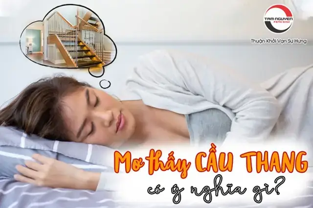 Giải Mã Ý Nghĩa Giấc Mơ Trượt Xầu Thang Giải Mã Ý Nghĩa Giấc Mơ Trượt Xầu Thang